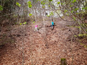 XOC Steigerungen und Hürden überwinden