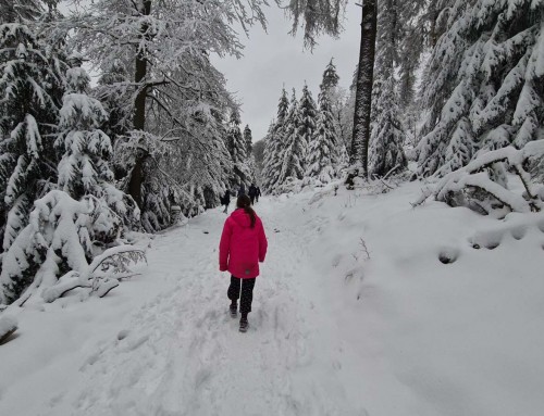 Spuren im Schnee wie im wirklichen Leben